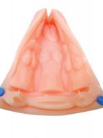 パイズリー(TITJOB)