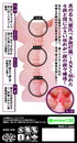 四つ目屋本舗　襞比べ　多段灯篭